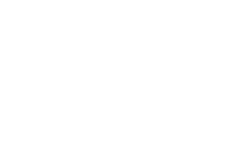 Logo Solidaris Day blanc